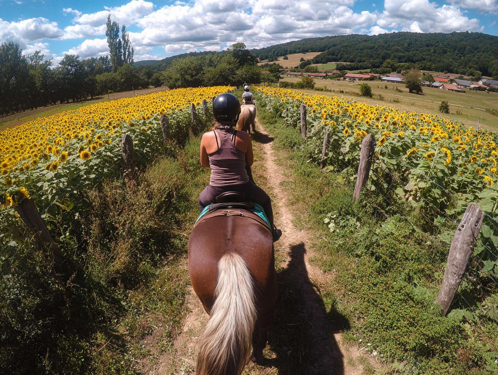 centre equestre